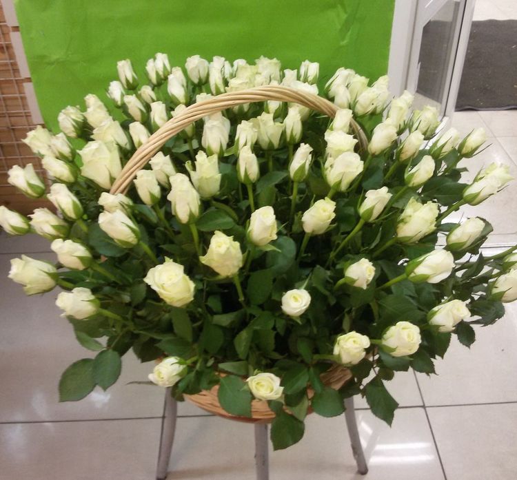 101 белая роза в корзине ,Кения, 40см